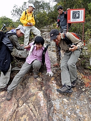 P1290043.JPG (323120 bytes)