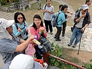 P2120031.JPG (274533 bytes)