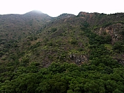 P2120086.JPG (212079 bytes)