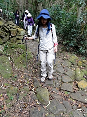 P2120136.JPG (278052 bytes)