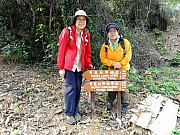 P2190018.JPG (339950 bytes)