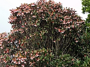 P2190032.JPG (369248 bytes)
