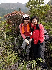 P2190034.JPG (338444 bytes)