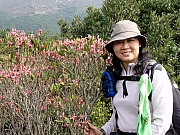 P2190039.JPG (341822 bytes)