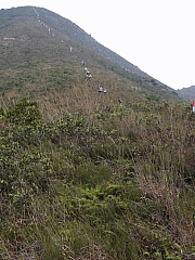 P2190045.JPG (279118 bytes)