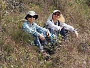 P2190096.JPG (397441 bytes)