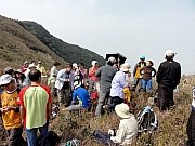 P2190099.JPG (243397 bytes)