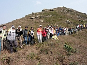 P2190107.JPG (318760 bytes)