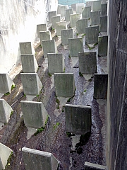 P2190146.JPG (246702 bytes)