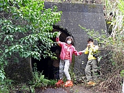P2260016.JPG (358185 bytes)
