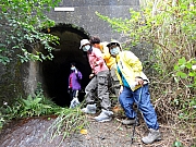 P2260018.JPG (354914 bytes)