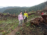 P2260067.JPG (312393 bytes)