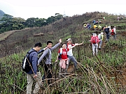 P2260076.JPG (327131 bytes)