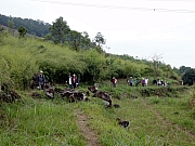 P2260085.JPG (242546 bytes)