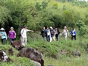 P2260087.JPG (351420 bytes)