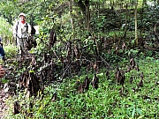 P2260098.JPG (452120 bytes)
