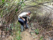 P2260107.JPG (414759 bytes)