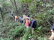 P2260109.JPG (411486 bytes)