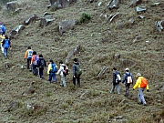 P2260138.JPG (326866 bytes)