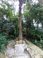 P3040037.JPG (372561 bytes)