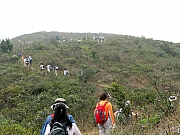 P3040061.JPG (249460 bytes)