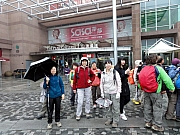 P3110003.JPG (253849 bytes)