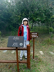 P3110015.JPG (320229 bytes)