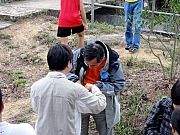 P3110050.JPG (286809 bytes)