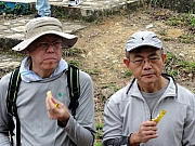 P3110059.JPG (243267 bytes)