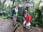 P3110066.JPG (374015 bytes)
