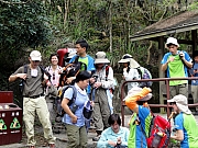 P3180061.JPG (329175 bytes)
