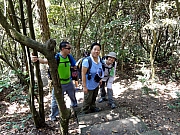 P3180079.JPG (389104 bytes)