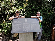 P3180082.JPG (295568 bytes)