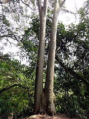 P4010085.JPG (402492 bytes)