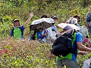 P4150064.JPG (345067 bytes)