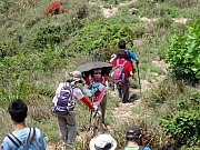 P4150116.JPG (370891 bytes)