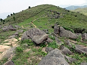 P4220093.JPG (307921 bytes)