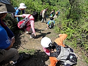 P4220112.JPG (348449 bytes)