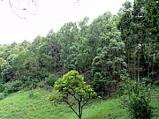 P5060057.JPG (314212 bytes)