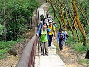 P5060071.JPG (363077 bytes)