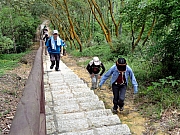 P5060074.JPG (360495 bytes)