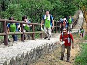 P5060080.JPG (347921 bytes)