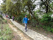 P5060089.JPG (405739 bytes)