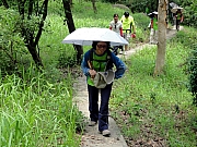 P5060102.JPG (362143 bytes)