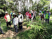 P5200009.JPG (415691 bytes)