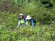 P5200011.JPG (420005 bytes)