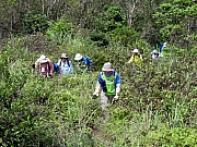 P5200012.JPG (458327 bytes)