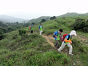 P5200052.JPG (274328 bytes)