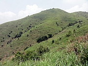 P5200073.JPG (288364 bytes)