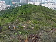 P6030126.JPG (316924 bytes)